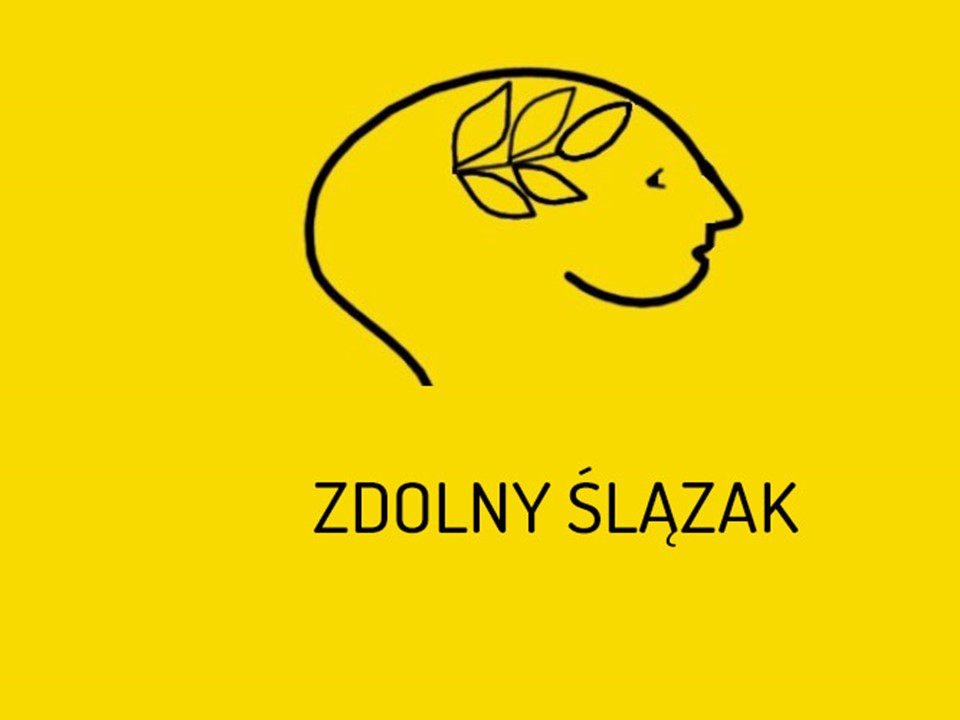zDolny Ślązak - logo konkursu